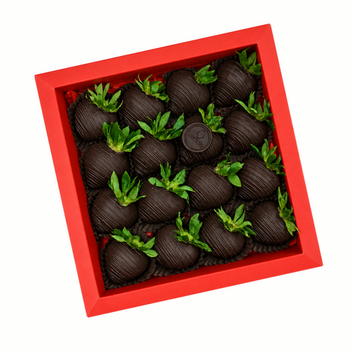 AISHA DARK BOX