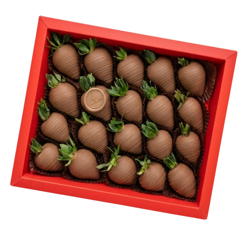 Aisha Box — Belgian milk chocolate dipped strawberries gift box Dubai same-day delivery