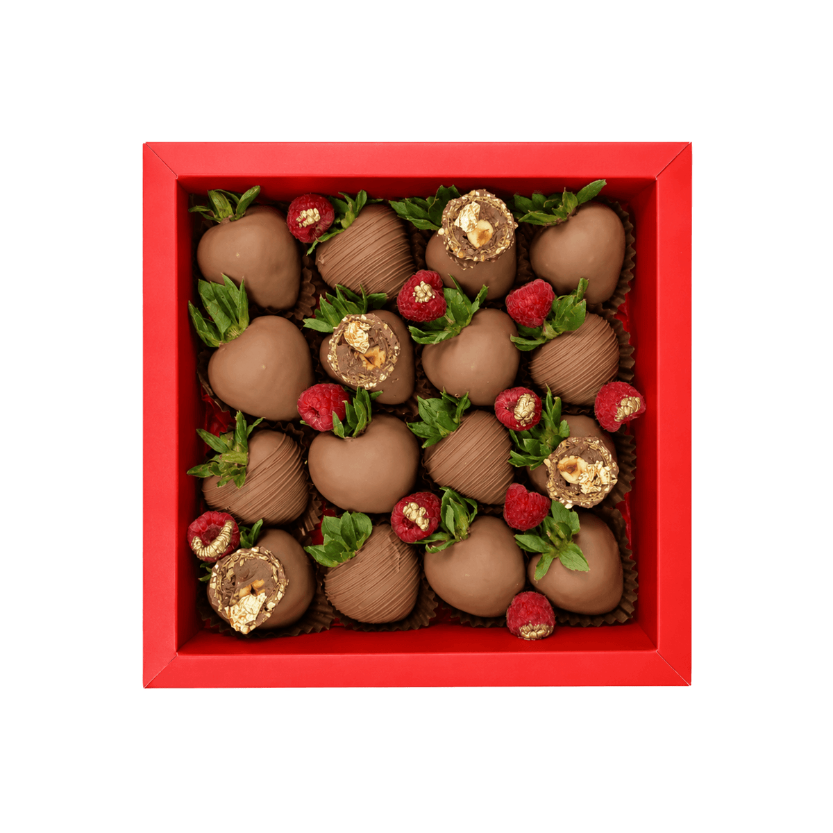 FATIMA BOX