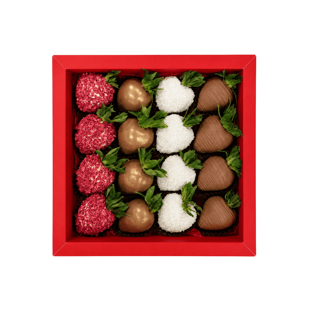 JAMILA BOX