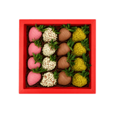M (16Pcs)