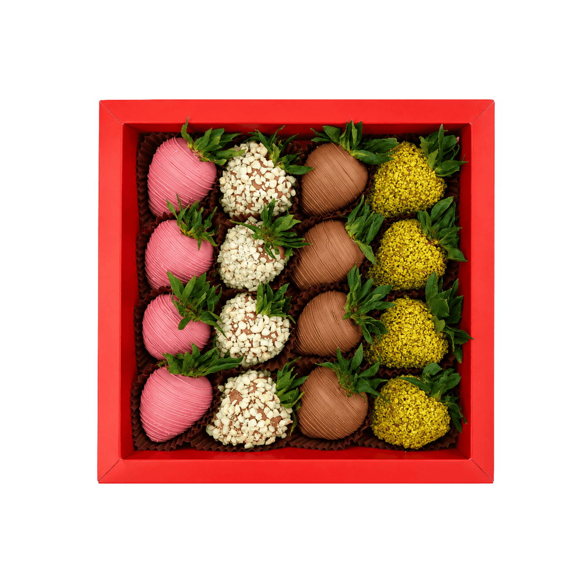 YASMIN BOX
