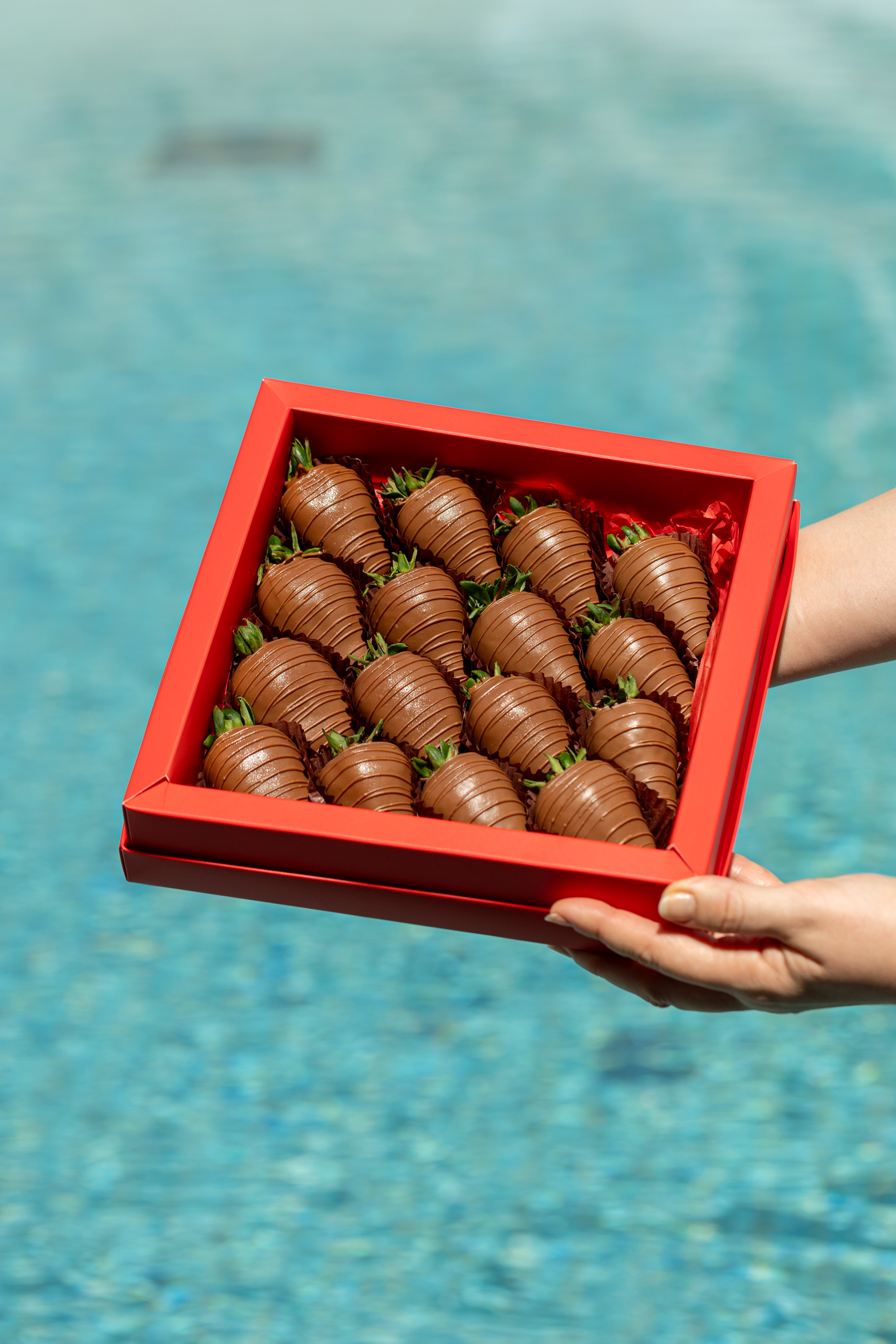 Aisha Box – Belgian milk chocolate dipped strawberries with drizzle, elegant Dubai chocolate strawberry gift box